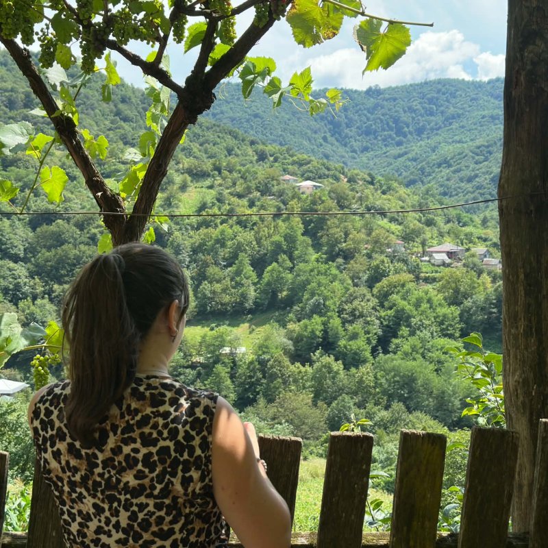 ნანი გელაშვილი